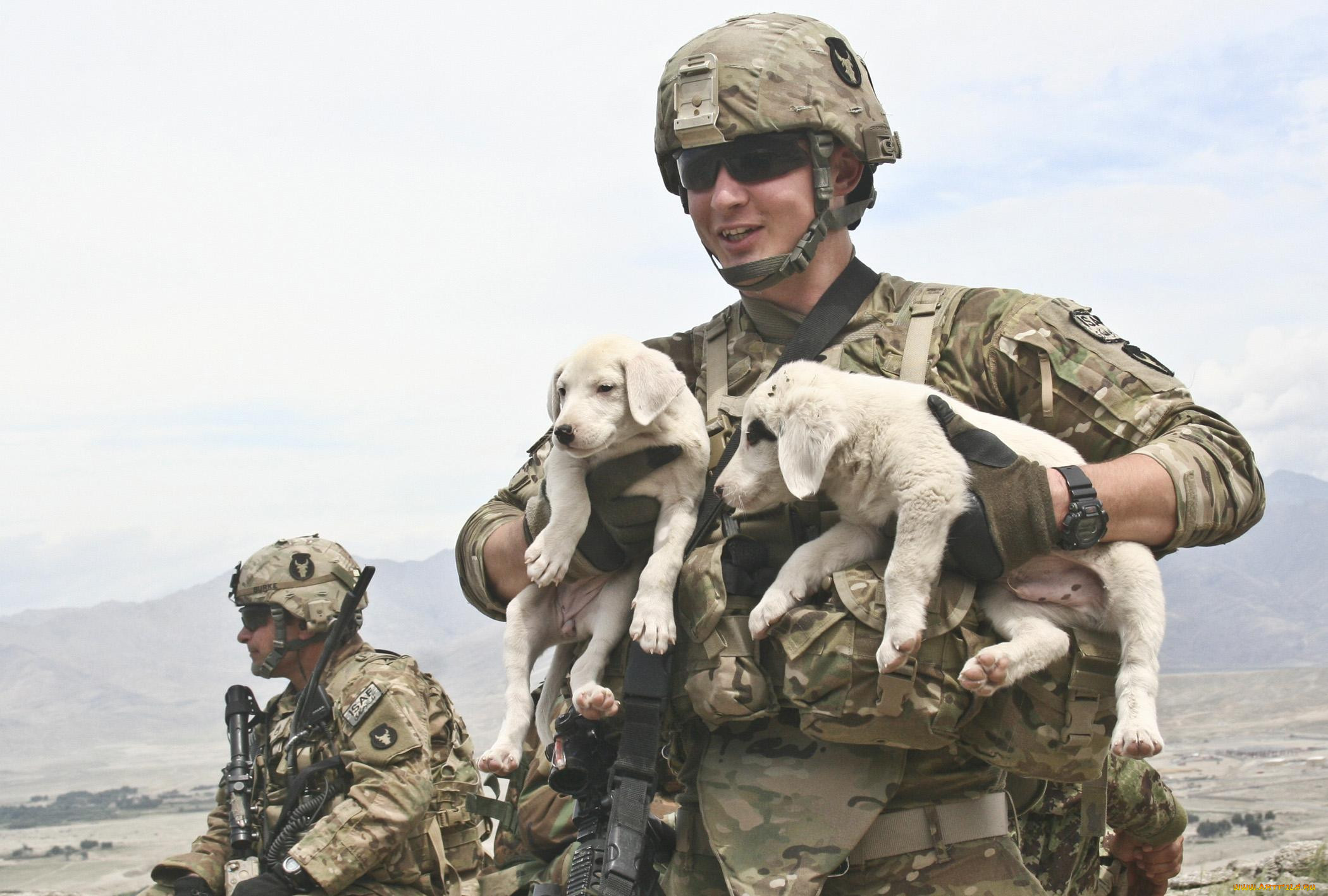 , , , military, army